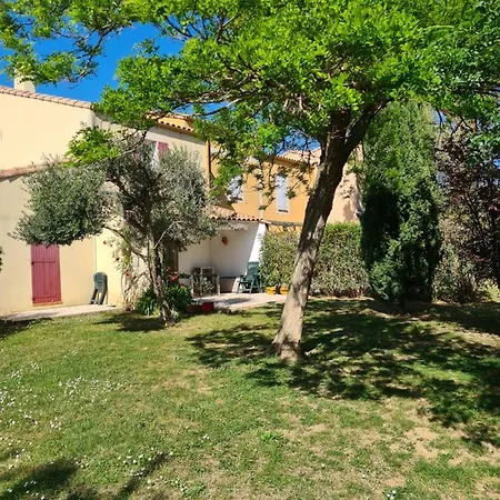 Joli Mazet Provencal De Camargue